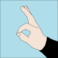 ---Dive hand signal OK 